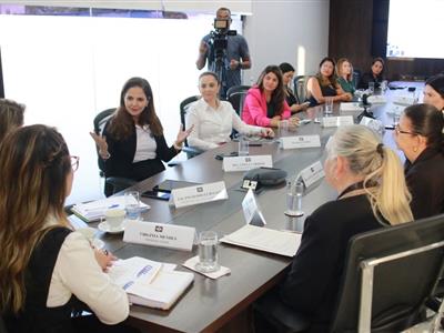 Foto da Notícia: OAB-MT participa de grupo de trabalho para implementação do Ser Família Mulher